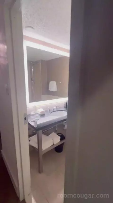 Guest Room, 1 King (#1535) bathroom picture #2