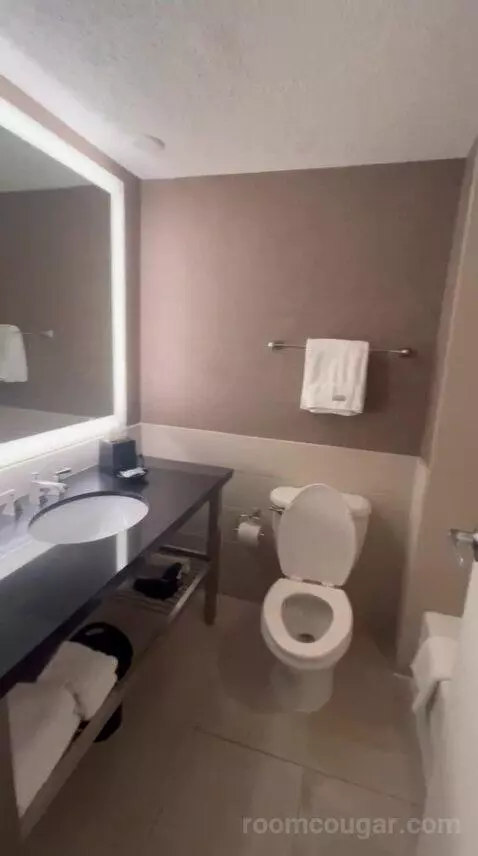 Guest Room, 1 King (#1535) bathroom picture #5