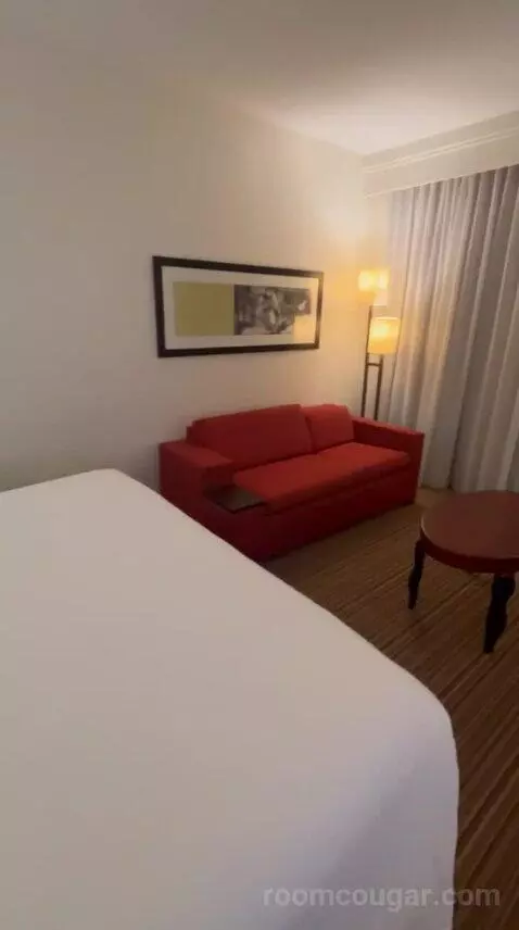 King Room with Sofa Bed (#112) bed picture #6