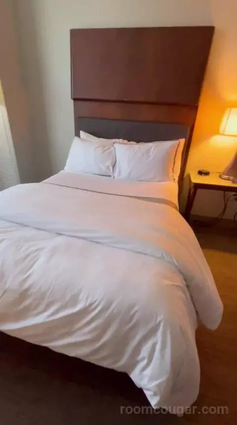 Deluxe Double, Guest Room, 2 Double (#622) bed picture #3
