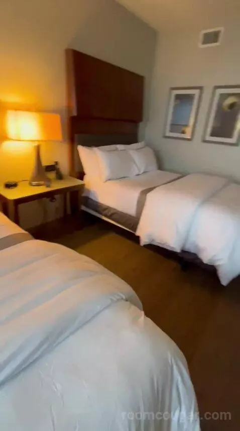 Deluxe Double, Guest Room, 2 Double (#622) bed picture #4