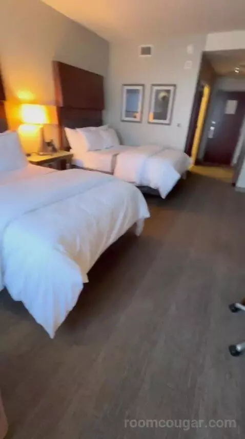Deluxe Double, Guest Room, 2 Double (#622) bed picture #7