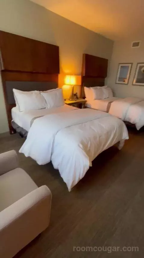 Deluxe Double, Guest Room, 2 Double (#622) bed picture #9
