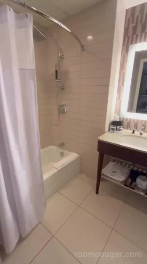 Deluxe Double, Guest Room, 2 Double (#622) bathroom picture #1