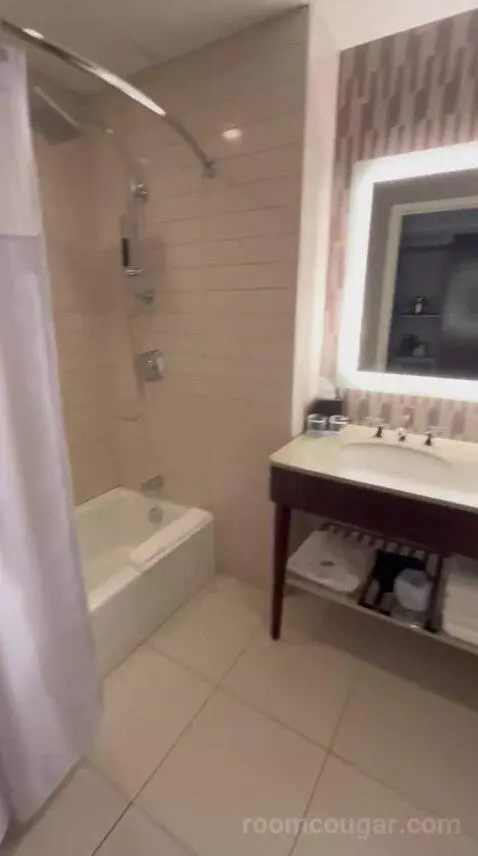 Deluxe Double, Guest Room, 2 Double (#622) bathroom picture #3