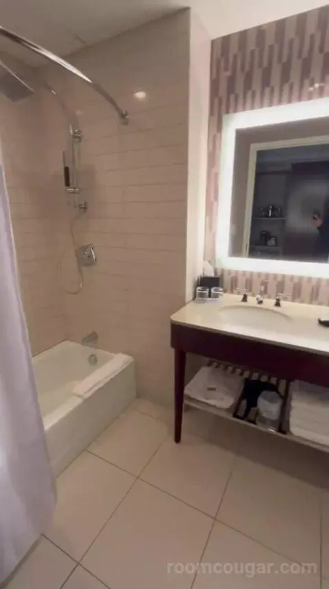 Deluxe Double, Guest Room, 2 Double (#622) bathroom picture #4