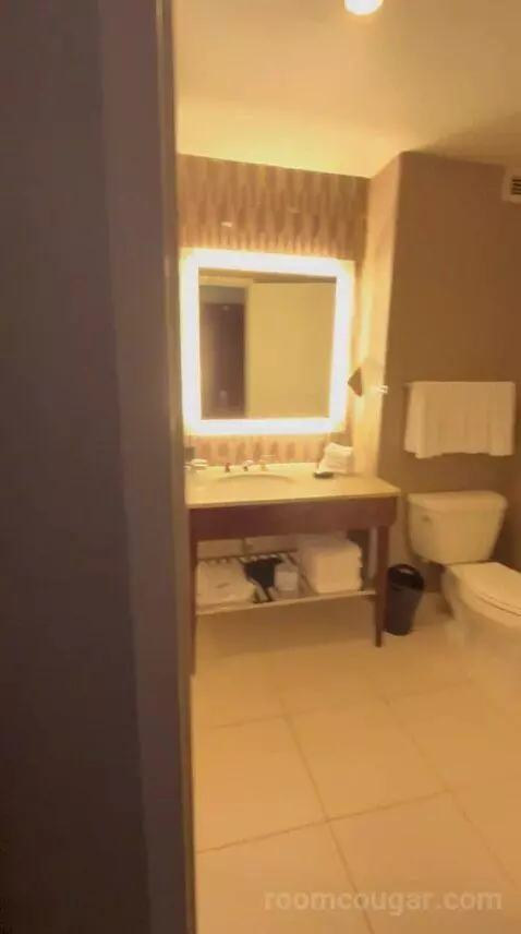 Deluxe Double, Guest Room, 2 Double (#622) bathroom picture #9