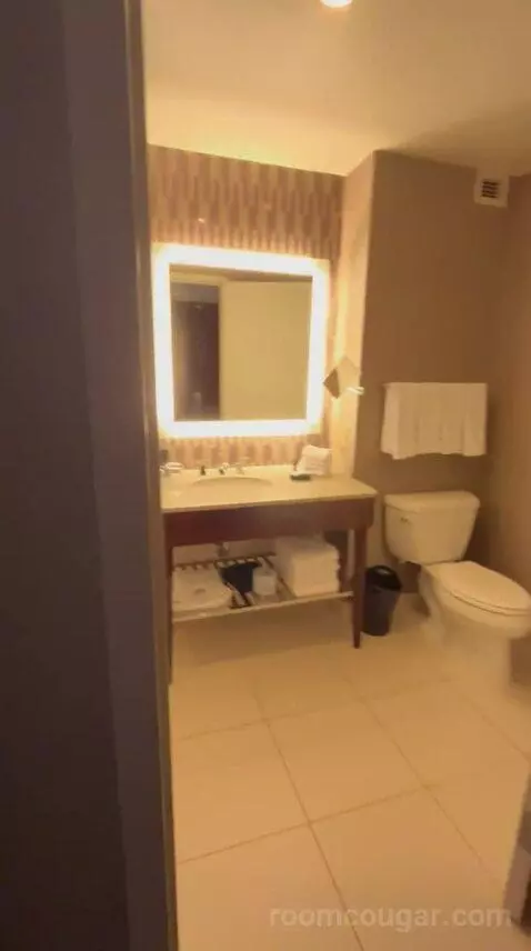 Deluxe Double, Guest Room, 2 Double (#622) bathroom picture #10