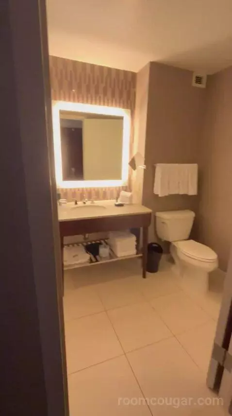 Deluxe Double, Guest Room, 2 Double (#622) bathroom picture #11