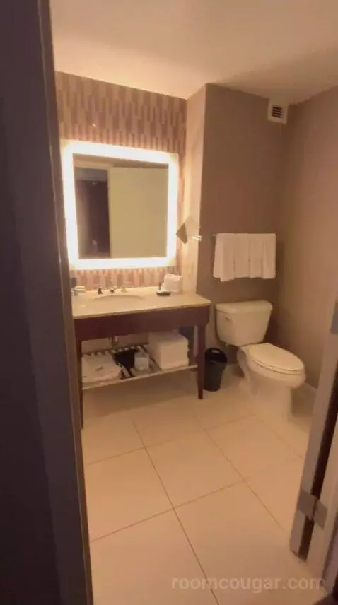 Deluxe Double, Guest Room, 2 Double (#622) bathroom picture #12