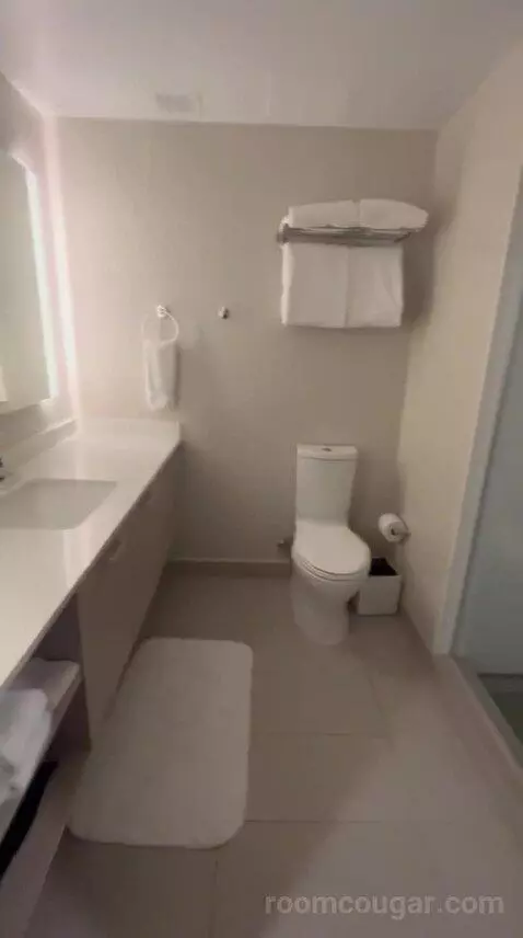 Queen Studio Apartment with Ocean View (#215) bathroom picture #1