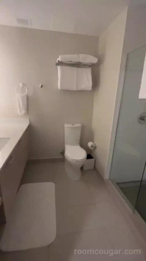 Queen Studio Apartment with Ocean View (#215) bathroom picture #4
