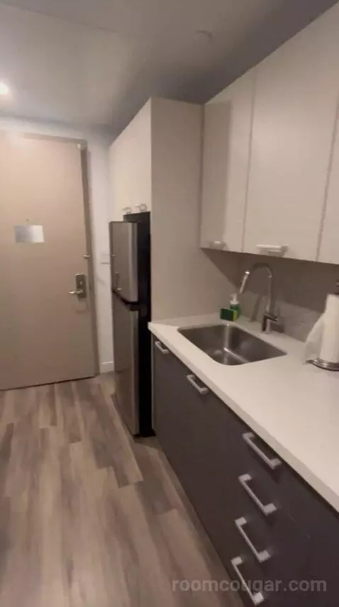 Queen Studio Apartment with Ocean View (#215) bathroom picture #10