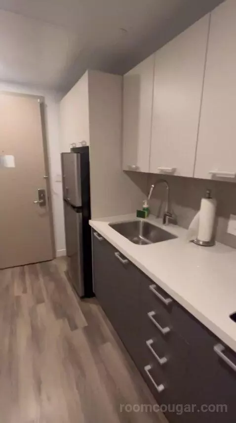 Queen Studio Apartment with Ocean View (#215) bathroom picture #12