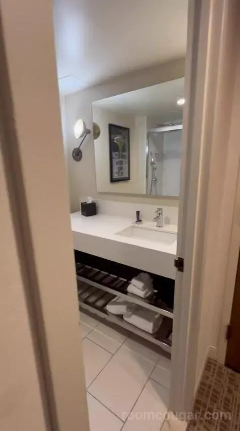 Deluxe King Room (#1015) bathroom picture #12