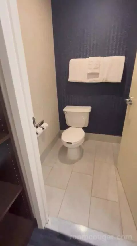 King Room (#336) bathroom picture #4