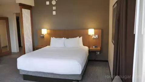 Guest Room, Queen, River View (#222) bed picture #3