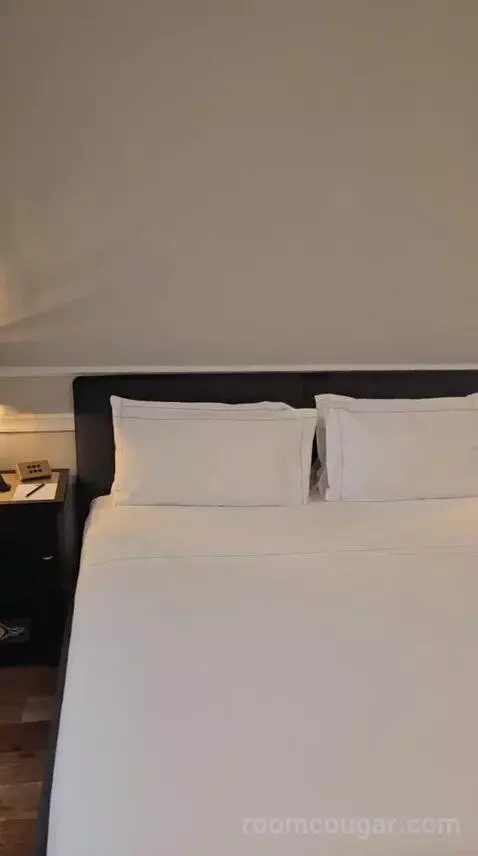 Superior Double Room with City View (#304) bed picture #7