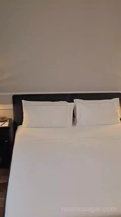 Superior Double Room with City View (#304) bed picture #8