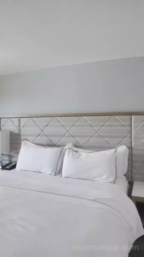 King with Balcony bed picture #3