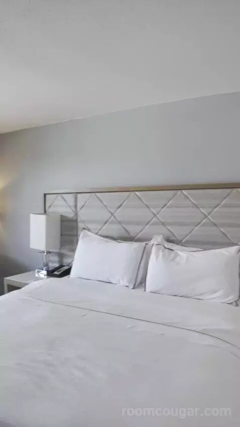 King with Balcony bed picture #5