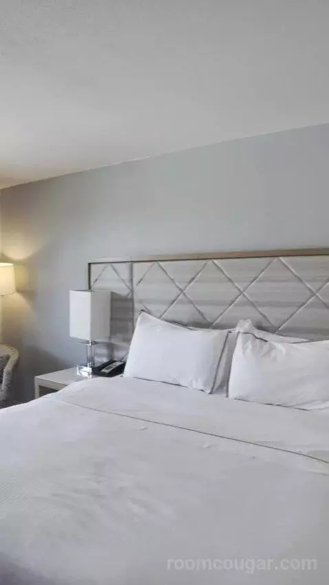 King with Balcony bed picture #6