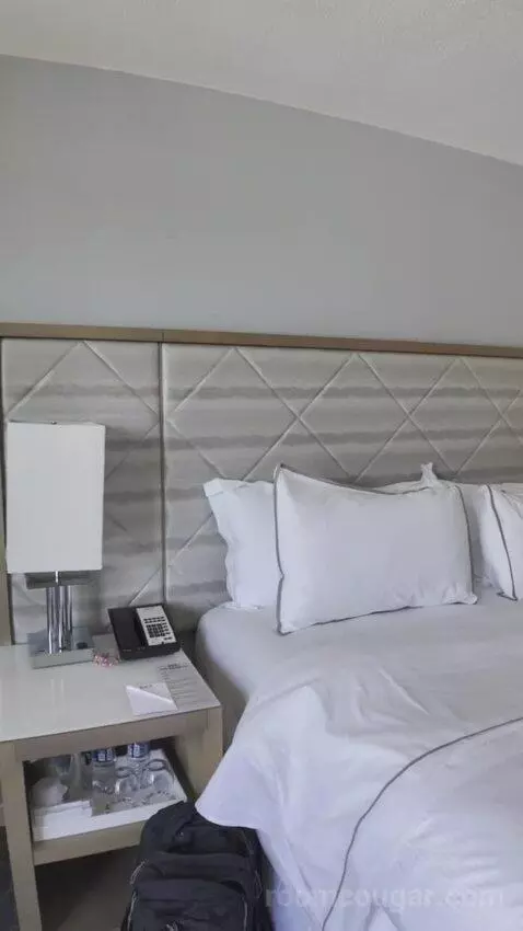 King with Balcony bed picture #9