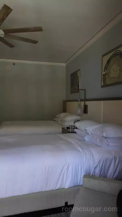 2 Double Beds with Balcony bed picture #6