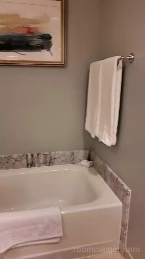 2 Double Beds with Balcony bathroom picture #10