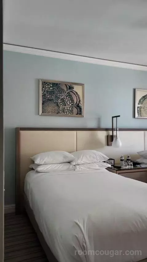 2 Double Beds with Balcony bed picture #8