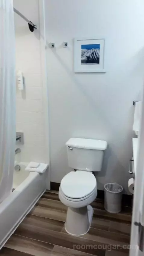 King Suite with Sofa Bed bathroom picture #2