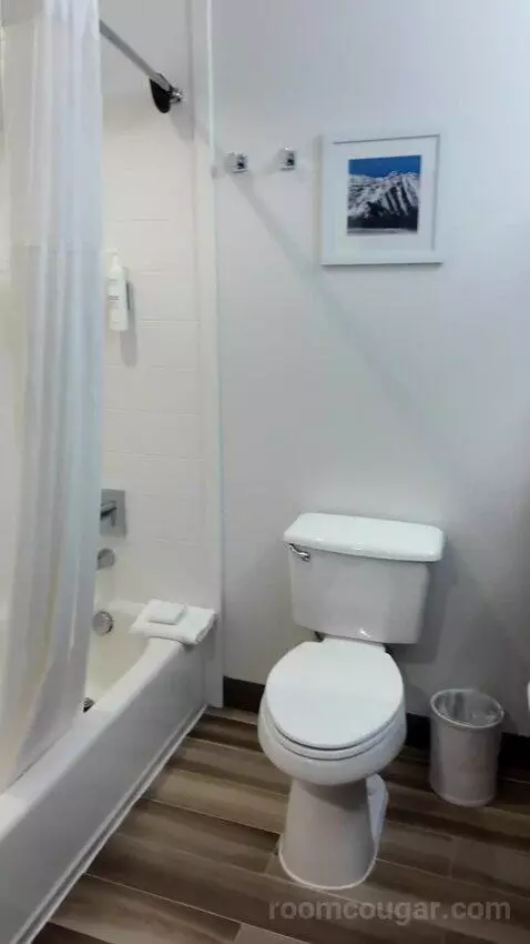 King Suite with Sofa Bed bathroom picture #3