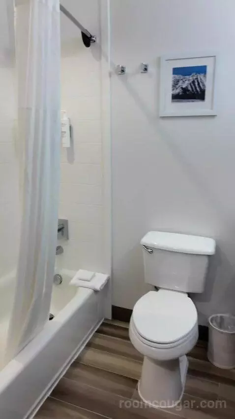 King Suite with Sofa Bed bathroom picture #4