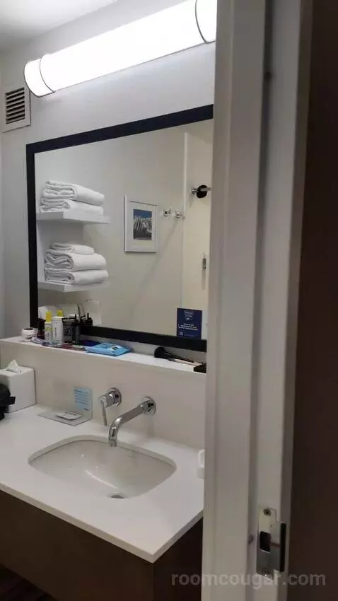 King Suite with Sofa Bed bathroom picture #12