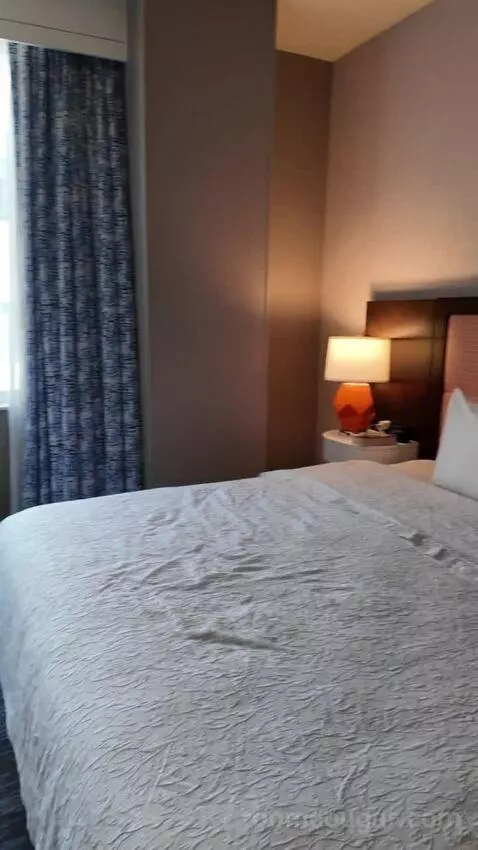 King Suite with Sofa Bed bed picture #1