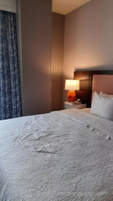 King Suite with Sofa Bed bed picture #2