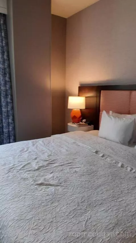 King Suite with Sofa Bed bed picture #3