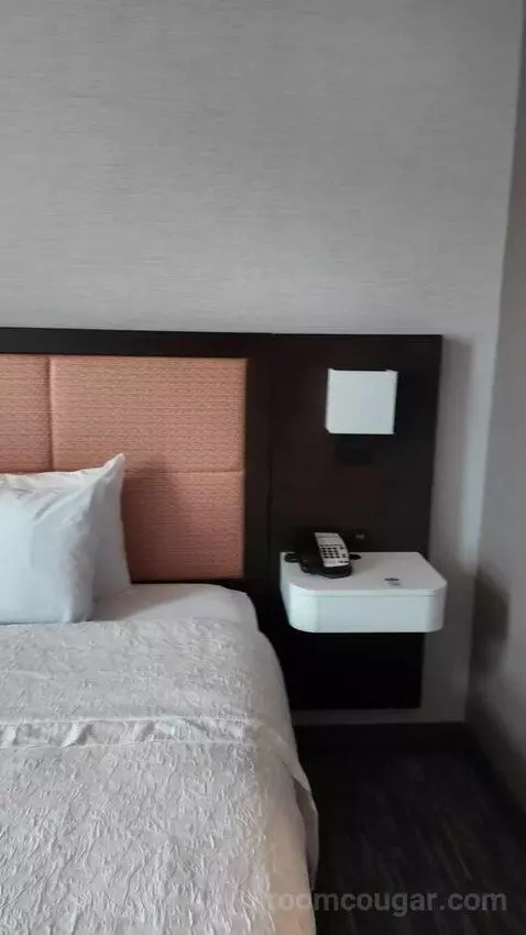 King Suite with Sofa Bed bed picture #4