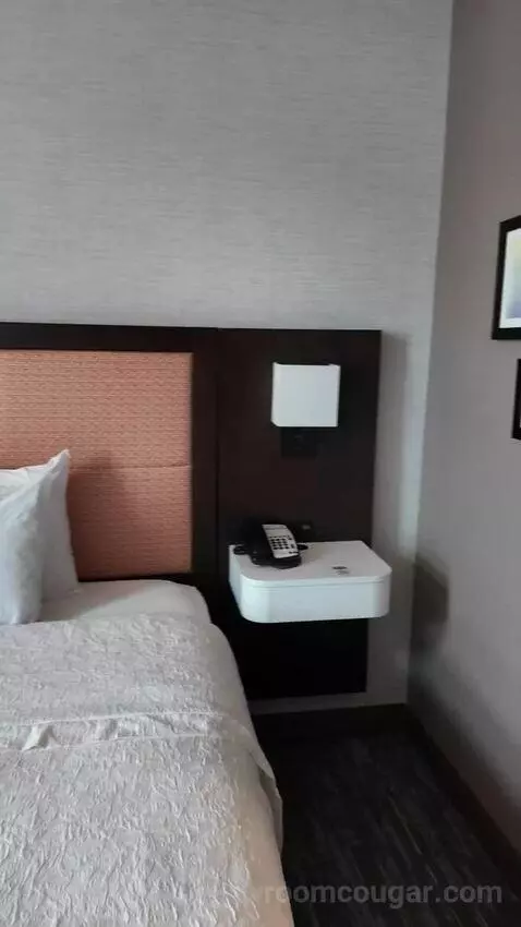 King Suite with Sofa Bed bed picture #6