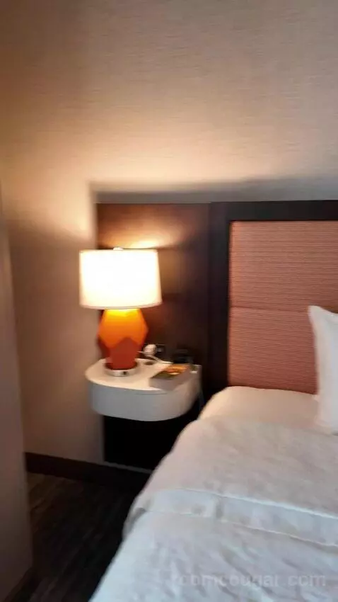 King Suite with Sofa Bed bed picture #8