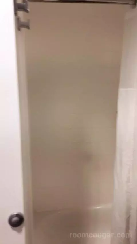 King Room bathroom picture #4