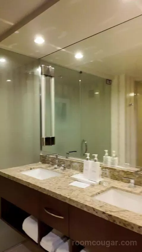 Deluxe Strip View Two Queen bathroom picture #3