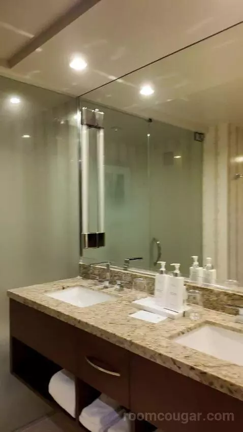 Deluxe Strip View Two Queen bathroom picture #4
