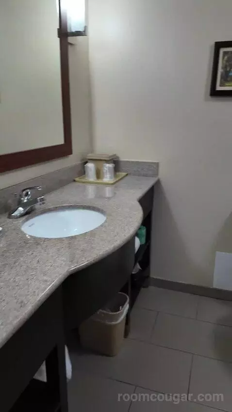 2 Double Beds bathroom picture #3