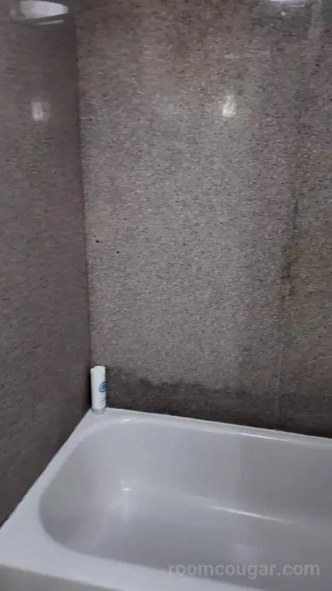 2 Double Beds bathroom picture #7