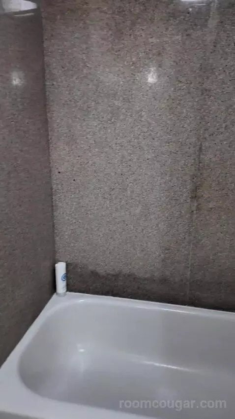 2 Double Beds bathroom picture #8