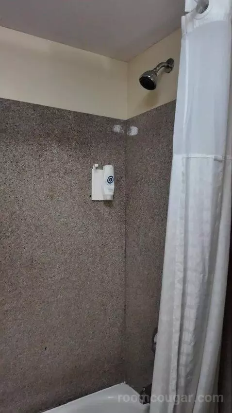 2 Double Beds bathroom picture #10