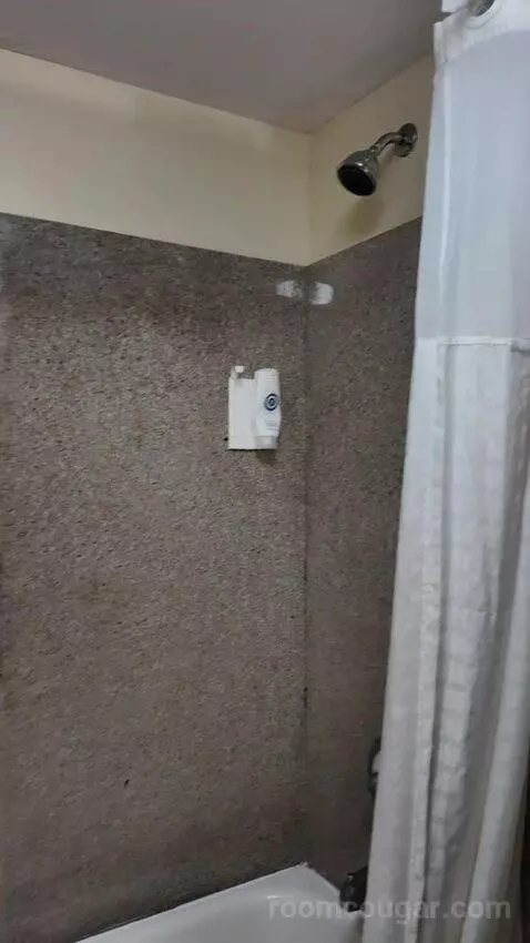 2 Double Beds bathroom picture #11