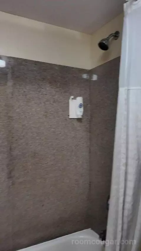 2 Double Beds bathroom picture #12