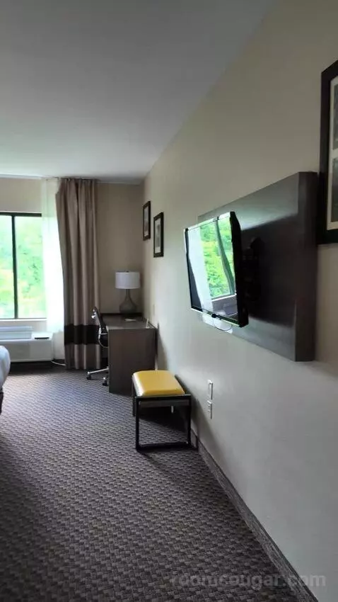 2 Double Beds bed picture #8
